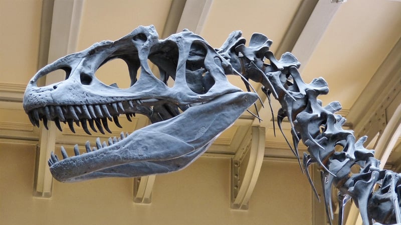 Royal Tyrrell Museum